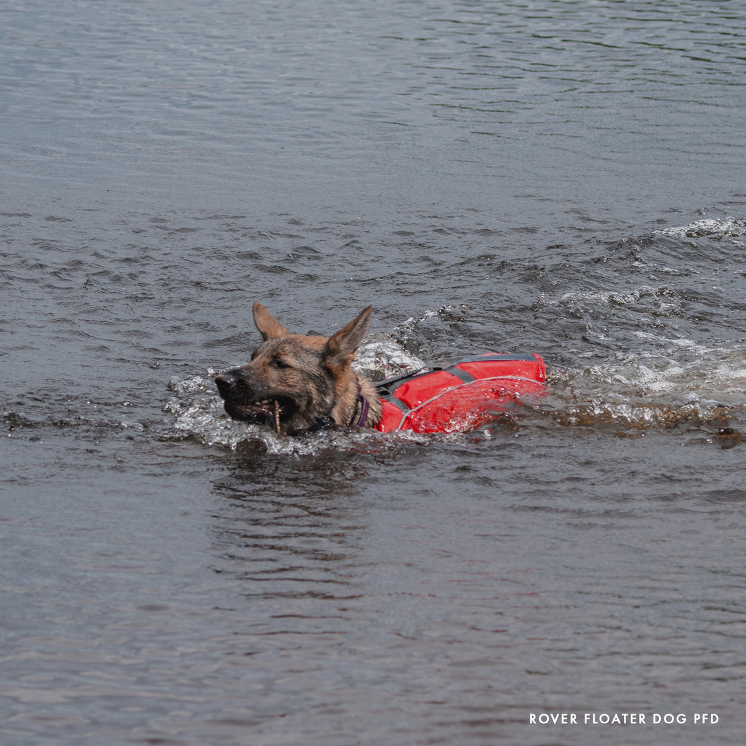 Rover Floater Dog PFD XS / S