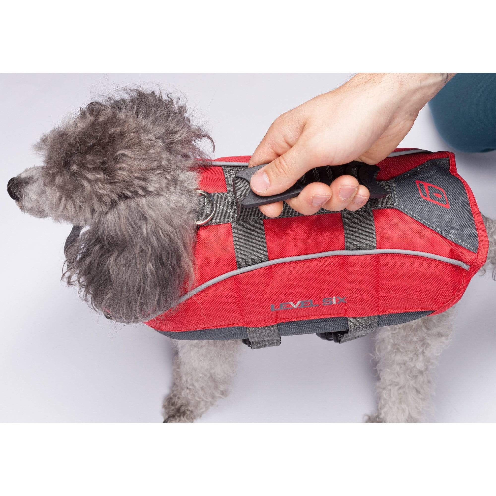 Mec dog 2025 life jacket